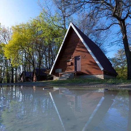 Serenity Springs - Michigan City 호텔 Springfield 외부 사진