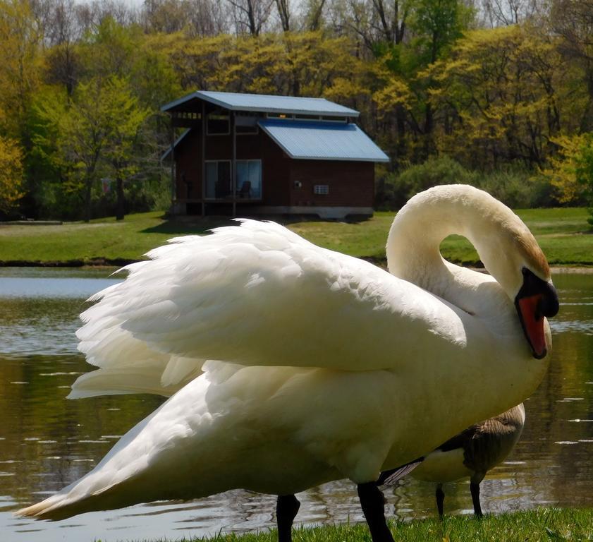 Serenity Springs - Michigan City 호텔 Springfield 외부 사진
