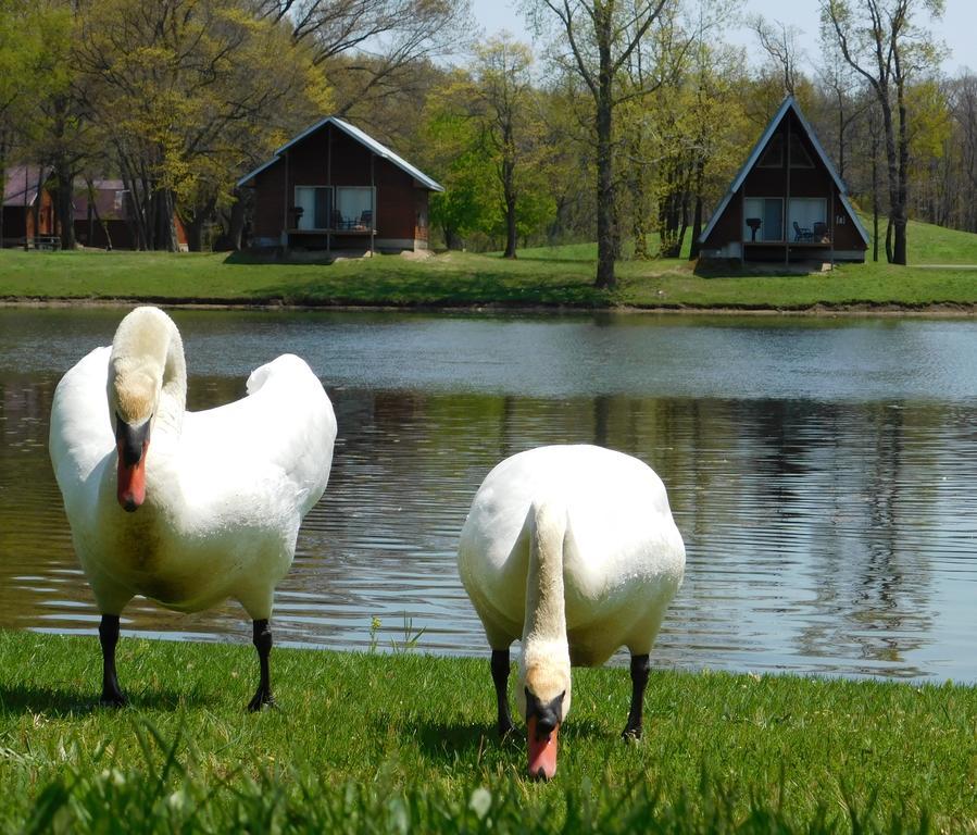 Serenity Springs - Michigan City 호텔 Springfield 외부 사진
