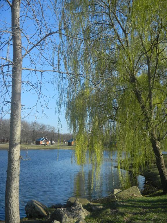 Serenity Springs - Michigan City 호텔 Springfield 외부 사진