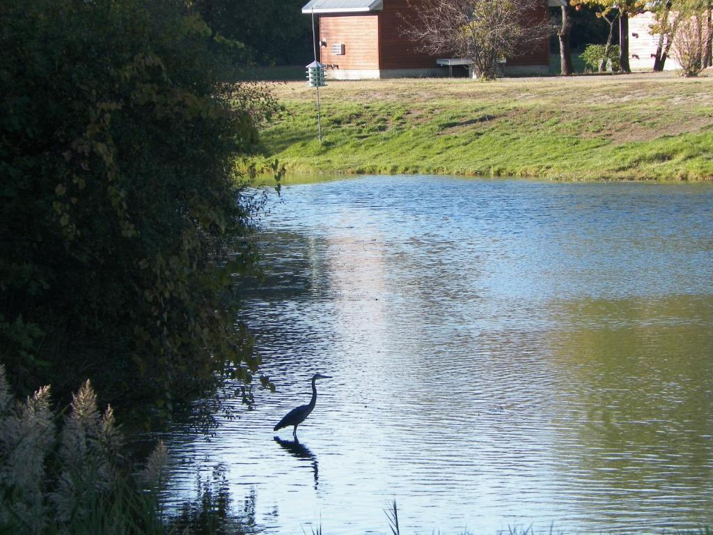 Serenity Springs - Michigan City 호텔 Springfield 외부 사진