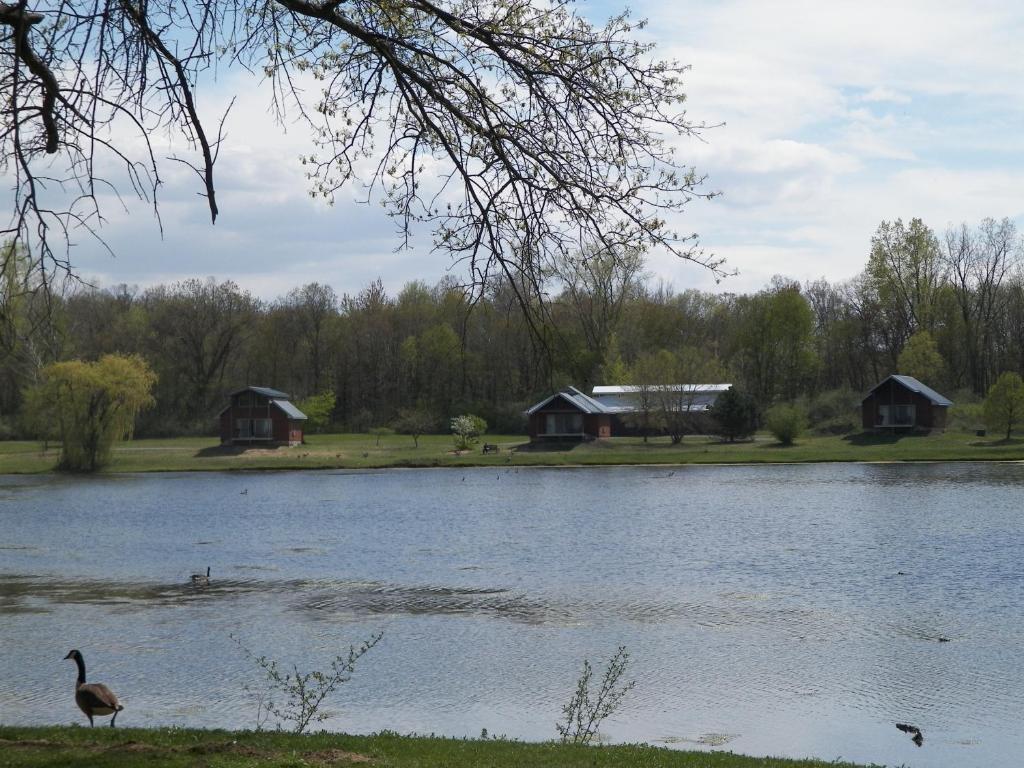 Serenity Springs - Michigan City 호텔 Springfield 외부 사진