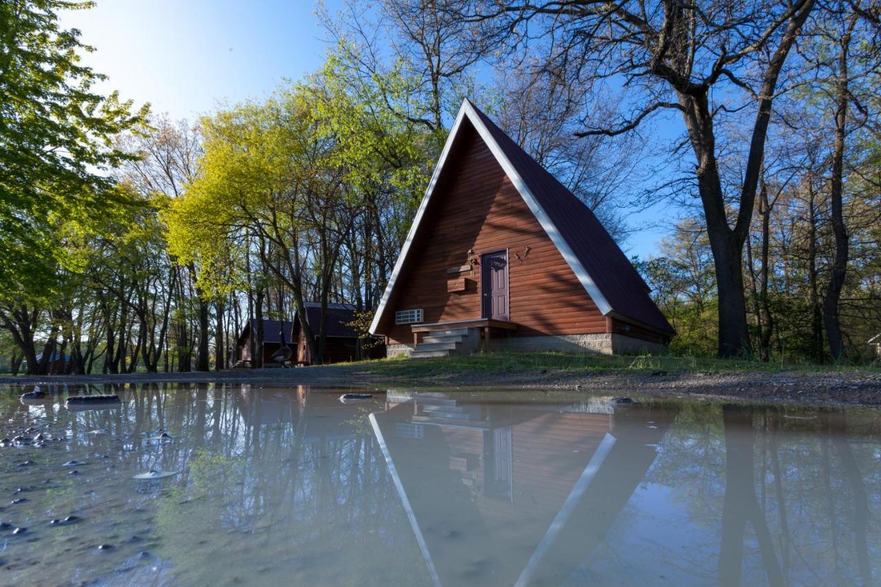 Serenity Springs - Michigan City 호텔 Springfield 외부 사진